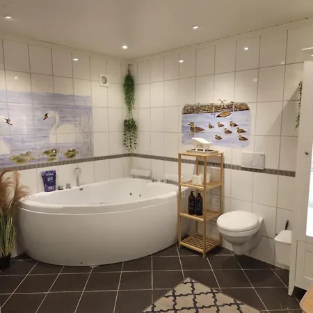 Senja - Hot Tub And Northern Lights View Villa *